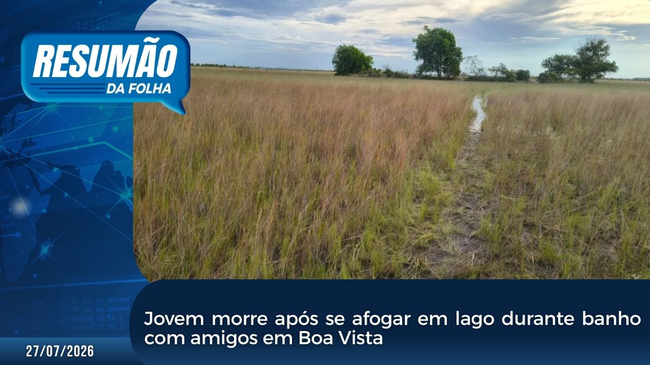 RESUMÃO DA FOLHA