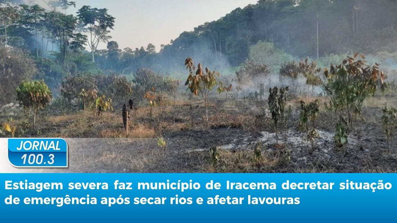 Jornal 100.3